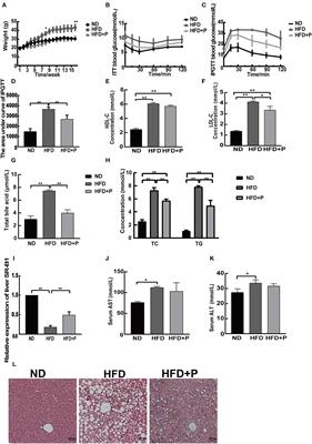 Effects of cholesterol-lowering probiotics on non-alcoholic fatty liver disease in FXR gene knockout mice